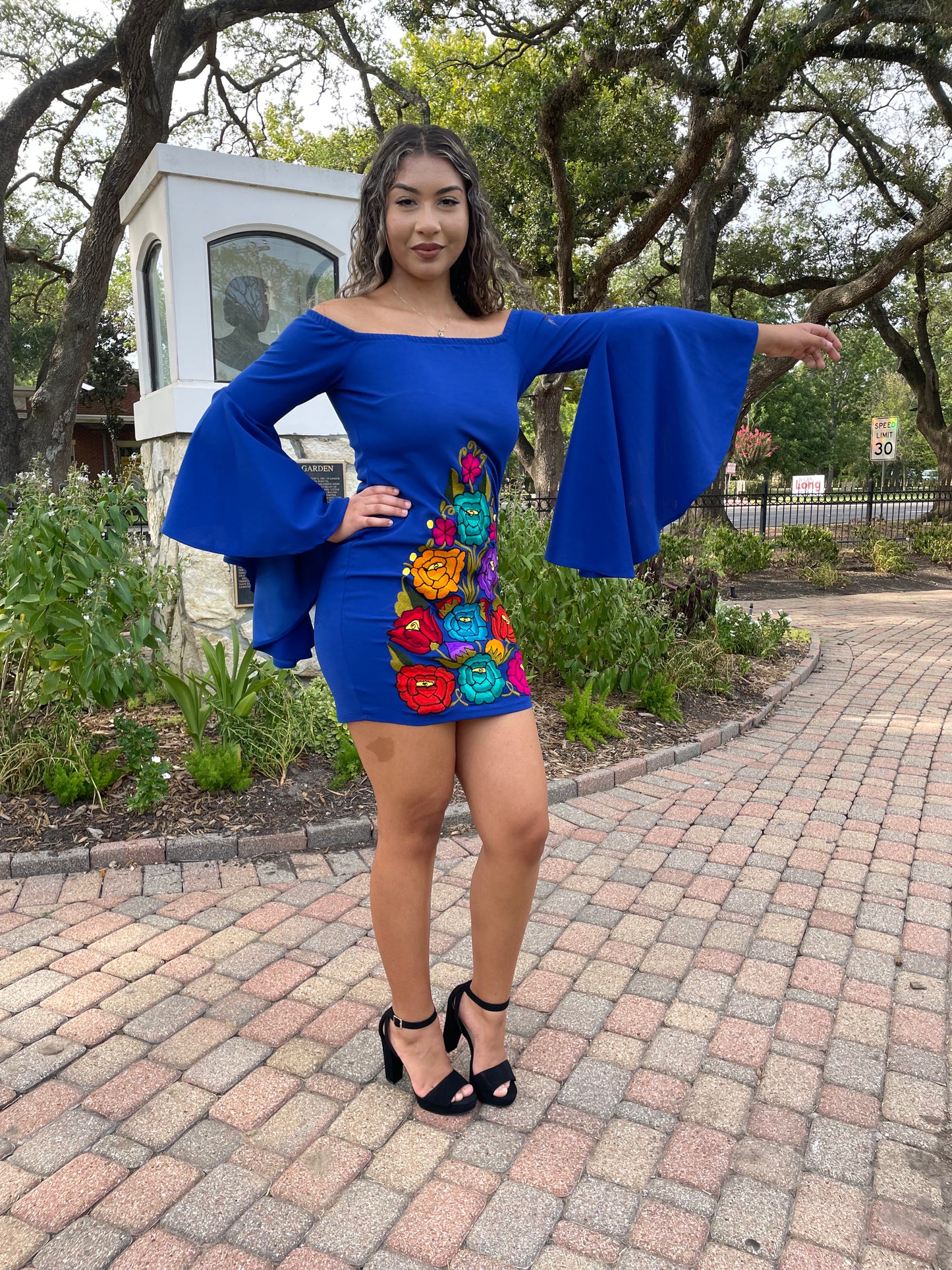 Bella Embroidered Dress