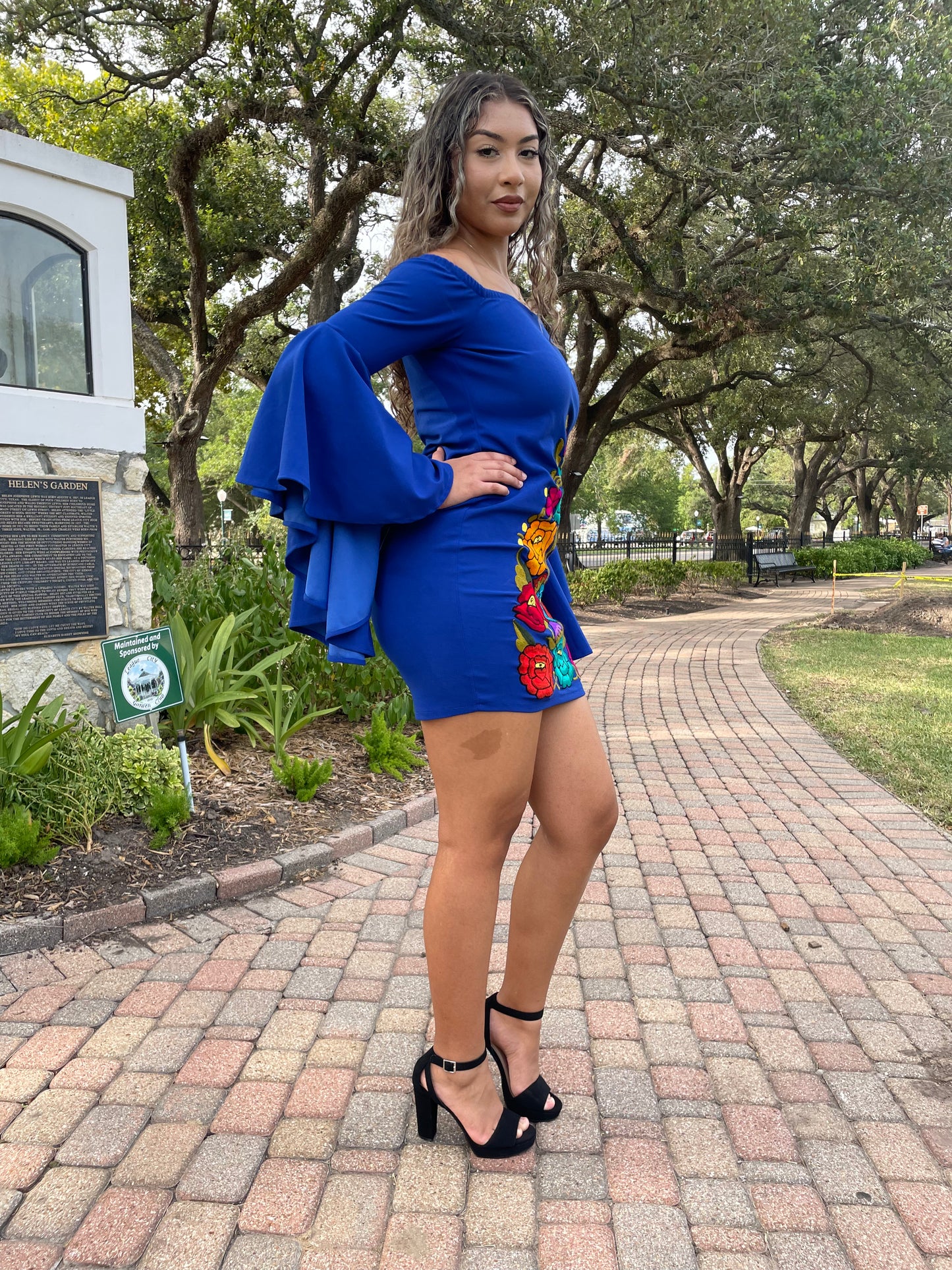 Bella Embroidered Dress
